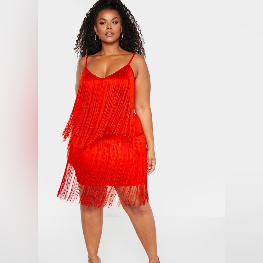 Pretty little things brand new XL fringe party dress